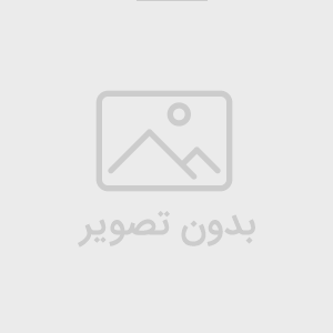 Word کتاب درآمدی نظری بر سیاست عمومی